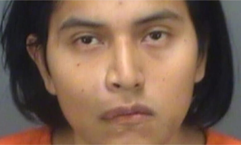 A Florida man has been arrested for beheading his cat