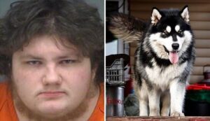 Florida Man Birthday February 11 - A man from Oldsmar has been accused