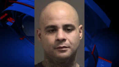 A Florida man who used meth fell into a fit of jealousy and attacked in anger