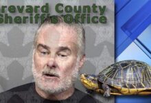 A Florida man threatened everyone with his army of turtles.