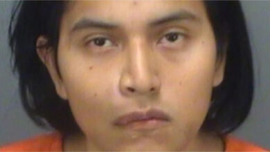 A Florida man has been arrested for beheading his cat