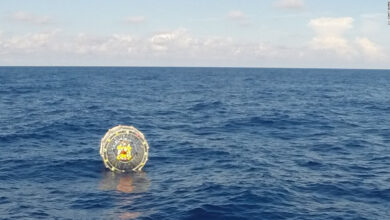 A Florida man was arrested for trying to drive a hamster ball into the Bahamas