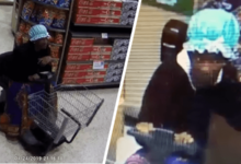 A Florida man in a blue bonnet and floral dress stole 28 packages of baby food from Publix