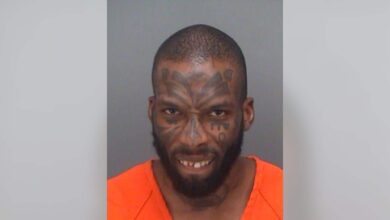 A Florida man used equipment at the playground to tell how the babies arrived