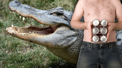 A Florida man used the alligator's mouth to open a beer bottle