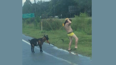 A topless man was out for a stroll with his goat while it was raining