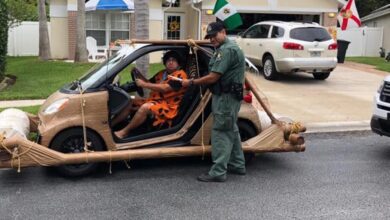 Florida man dressed as a cartoon character stopped by police for allegedly driving a fictional car