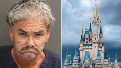 A Florida man abused an employee dressed as a princess at Magic Kingdom Park