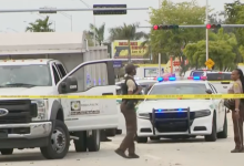 A tire shop owner in Florida was arrested for attempted murder. The reason he shot the landscaper was because of the leaves falling on his land.